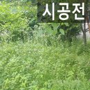 하남중 앞 이미지