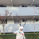 포커시스 이미지
