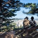서울교과서 네이버블로그