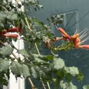 사막경로당 이미지