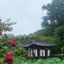 가람작은도서관 | 강릉선교장 .국가민속문화유산2025.7.14.강릉7개월만에 비 낯21도 14일하루 강수량 30mm쯤