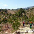 노동중리 이미지