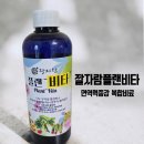 자람 | 식물만 키우면 죽던 초보가 선택한 복합비료, 잘자람플랜비타 후기