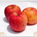 [청송] 꿀사과로 유명한 현동 이미지