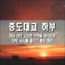 증도보건지소 | 증도대교, 하부 전남 신안군 고요한 수면을 바라보며 차박, 낚시를 즐기기 좋은 해안