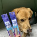 (주)씨앤케이푸드 이미지