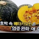 영광채소