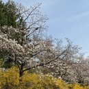 (주)포세안
