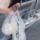 멍멍아 미용하자 이미지