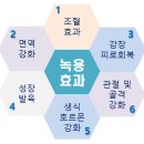 홍재한의원 이미지