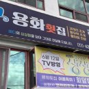 거제 성포ㅣ맛집 가족모임 용화횟집 코끼리조개 우럭...시원한 매운탕 추가ㅣ내돈내산 거제현지인맛집 후기
