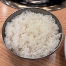 영월식당 | 광화문점심맛집, 영월사랑방식당 광화문점 후기(블루리본 12년 수상)