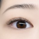 병점빌C | 부러올 속눈썹 병점본점 속눈썹연장 후기