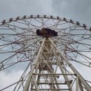 오이시라멘 이미지