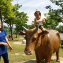 거창스포츠파크 이미지