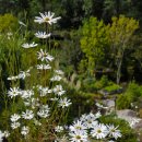 영흥수목원 야외 이미지