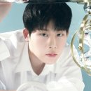 주헌 카카오 검색결과