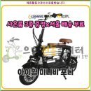 아이휠 | 아이휠 미니비포니 듀얼 전동스쿠터2인승 반려동물 아이등하원 장보기 미니비 포니 블랙 48V 20Ah 알뜰선택