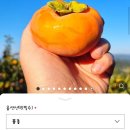 진영삼대감