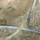 교동시장3길 | 강릉누수탐지 신축인데 교동 욕실2, 보일러 벽사이1누수 공사 후기