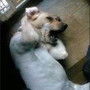 이불팡팡 - 남구 대남대로 246 | 이불팡팡