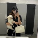 코코 반려견미용실 이미지