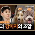 댕댕부티크