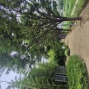 바람길 | 평택 숨은 힐링 명소 맨발로 걷는 바람길 숲 체험기