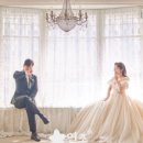 시니스튜디오 이미지