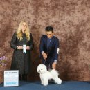 어반독스 이미지