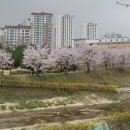 별내체육공원 이미지