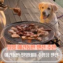 애견동반 밀양테마수영장 이미지