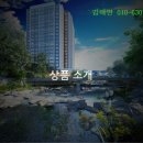 더오펠리 이미지