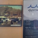 신흥장어 이미지