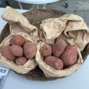 [시민] 패브릭아트 | 트라이보울 브릿지 마켓 후기, 야외 공연부터 아트 마켓, 다양한 체험 프로그램까지