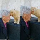 하단할머니 이미지