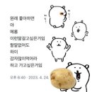 천안타투타임 | 비록 조금 뾰족한 평범한 돌이었지만