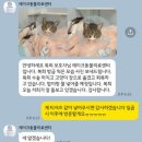 레이크동물의료센터 이미지