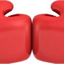 클라우스 복싱 이미지