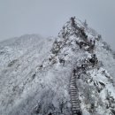 ★ 236차 경상남도 함양군 남덕유산 정기(신년)산행 계획 ★ 이미지