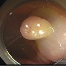 경대케이속내과의원 이미지