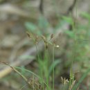 하늘지기 이미지