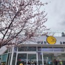 양재시민의숲역 1번출구 이미지