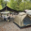 경기도 수원시 권선구 금호로 45 (금곡동, 삼익1차아파트) | 수원 호매실 금곡동 속눈썹 뷰티쁠