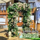 지밀푸드 | W. 전주 왕의지밀 야외 결혼식 그레이스 K, 하객 입장에서 본 솔직 후기
