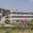 커피프렌즈다육