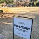 소전미술관 | 더숲 소전미술관 평일 후기 (아기랑⭕️,주차⭕️)