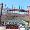 홍산향교 은행나무 이미지