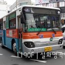 부산진구-9 이미지