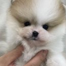 러브오니 이미지